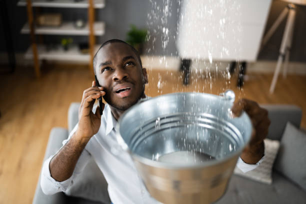 Best Water damage contractors near me  in Indnola, IA
