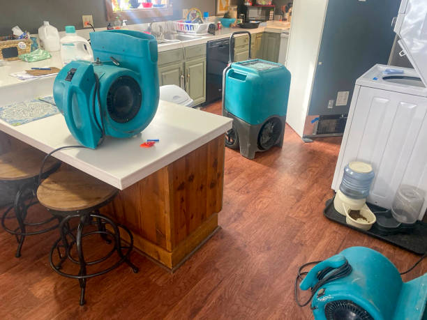 Best Mold removal after water damage  in Indnola, IA