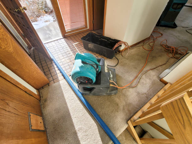 Best Fire Damage Restoration  in Indnola, IA