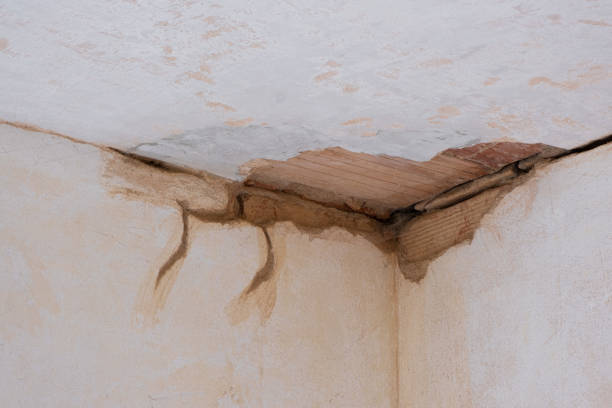 Best Residential water damage restoration  in Indnola, IA