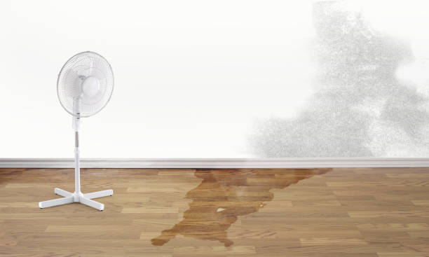 Best 24/7 water damage repair  in Indnola, IA