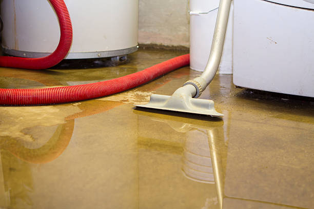 Best Water damage contractors near me  in Indnola, IA
