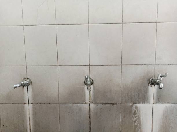 Best Flood damage cleanup  in Indnola, IA