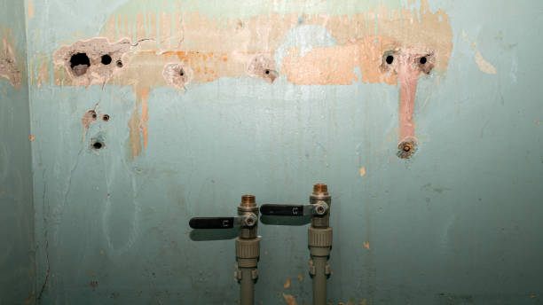 Best Water damage restoration near me  in Indnola, IA