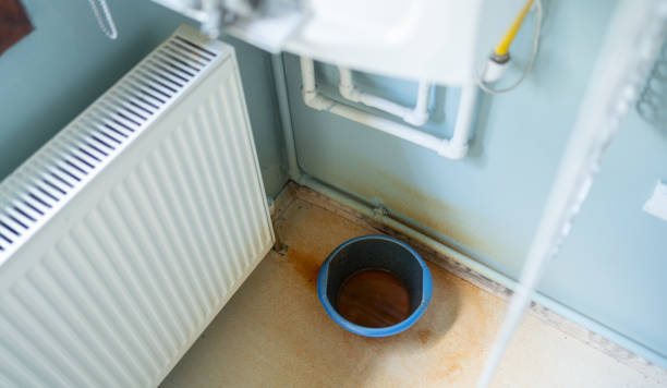 Best Water damage cleanup near me  in Indnola, IA