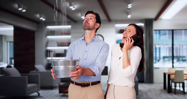 Best Carpet water damage restoration  in Indnola, IA