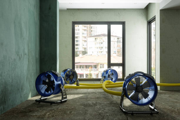 Best 24-hour water damage restoration  in Indnola, IA