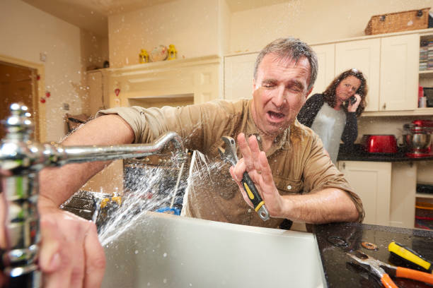 Best Water damage restoration process  in Indnola, IA